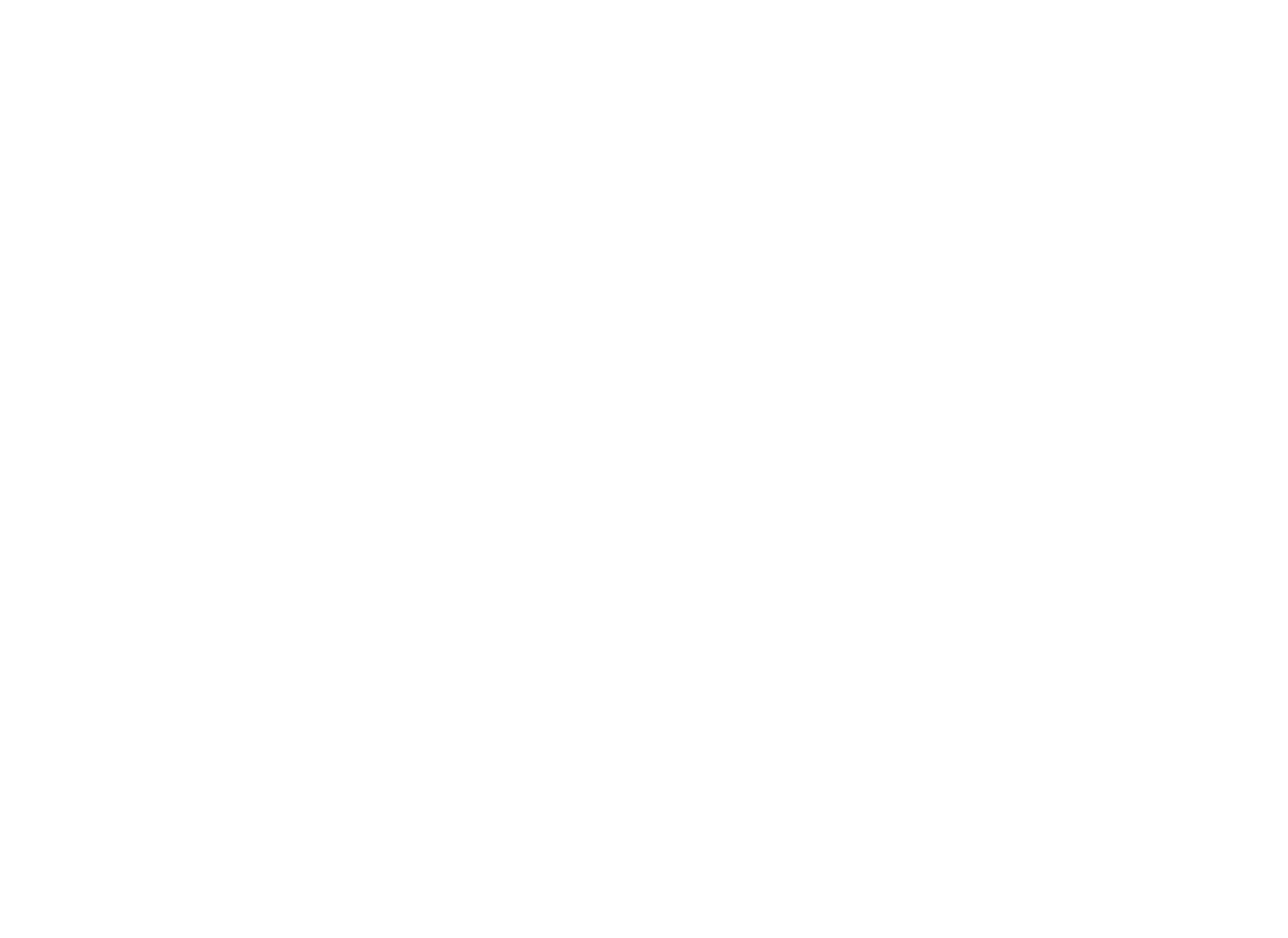 FF logo 20 jaar