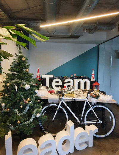 Fastforward Teamleader3