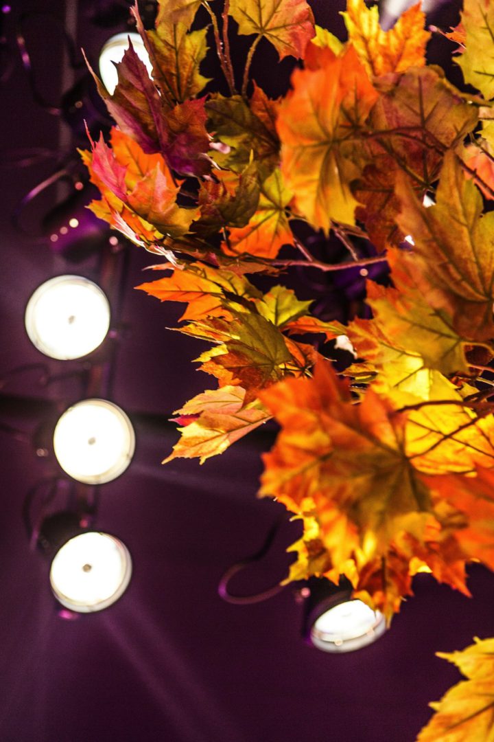 Fast Forward Evenementenbureau Public Event Film Festival 2015 P1A2Mruken4Gm1O4B1I911Bvj12Hc3