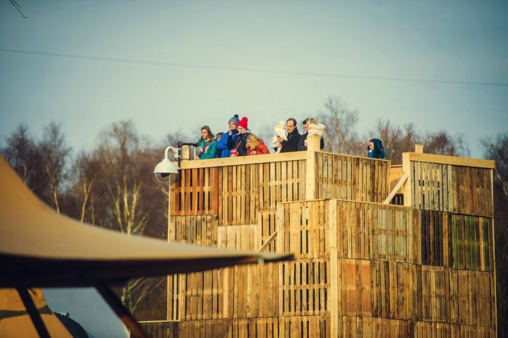 Fast Forward Evenementenbureau Public Event Het Goede Doelhof Van Studio Brussel P1A9Firtia2Dcou119Cm132Japn3