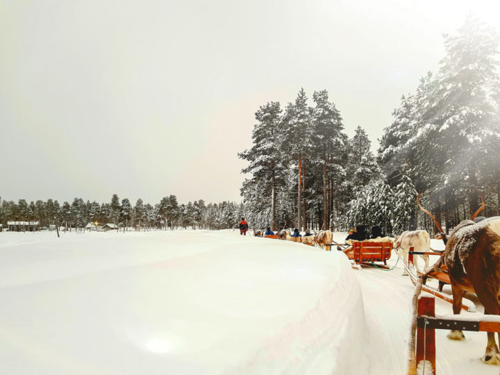 Img 20200124 Wa0023 2