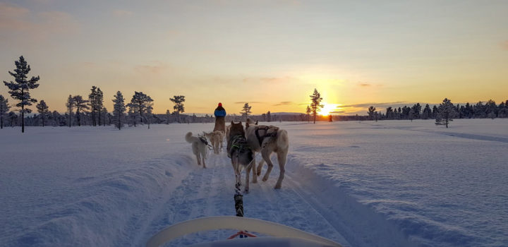 Img 20200125 Wa0034 2