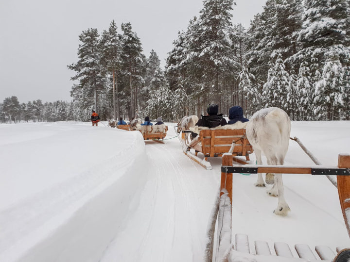 Img 20200126 Wa0015 2