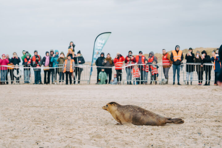 Ecbc Photo Styn Be 00061